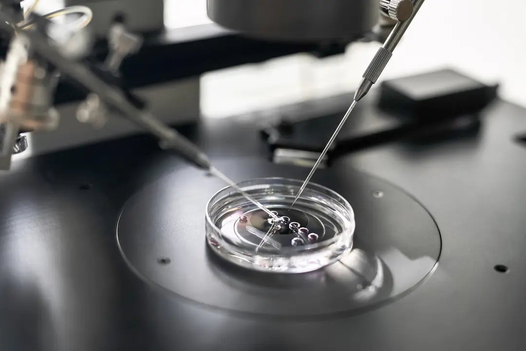 Methylation Genetic Testing: What It Is & How It Helps Personalized Wellness
